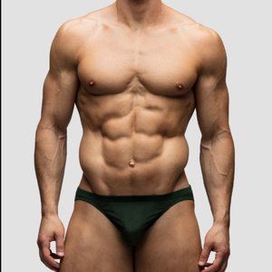 Todd Sanfield Collection Pine Mesh Bikini Brief